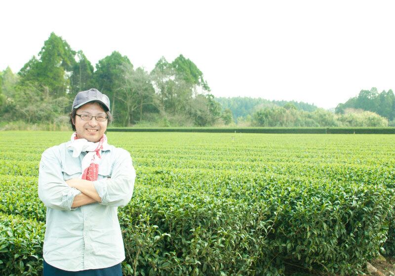 Sencha Handa Homare