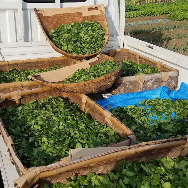 Fragrant Wakocha (Japanese Black Tea) 30g